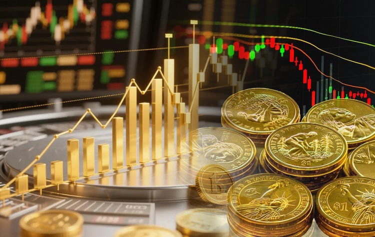 FX and financial risk advisory